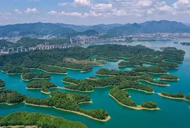 浙江稠州金租男篮最新消息