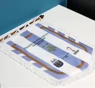 今晚阿贾克斯完成体检赛前更衣室发声，连对手都承认：武汉三镇强势反弹备战德甲的简单介绍